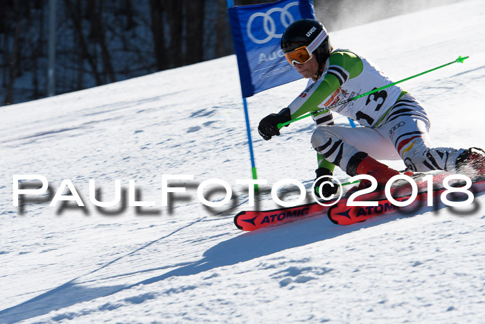 Dt. Schülercup U16 Finale,Parallelslalom, 04.03.2018, Siegerehrungen DSC gesamt