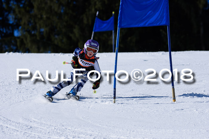 5. WF Ziener Cup + WFM, Steckenberg, 04.03.2018
