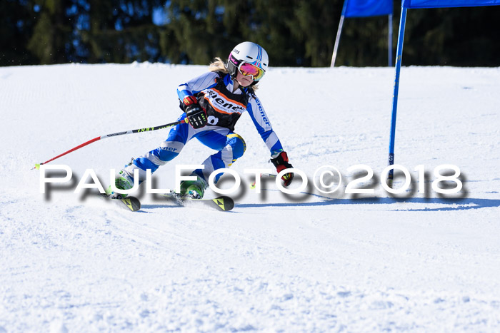 5. WF Ziener Cup + WFM, Steckenberg, 04.03.2018