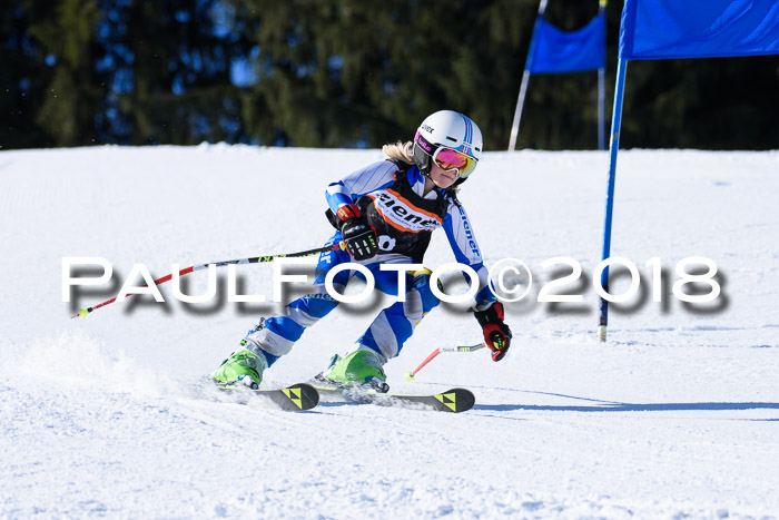 5. WF Ziener Cup + WFM, Steckenberg, 04.03.2018