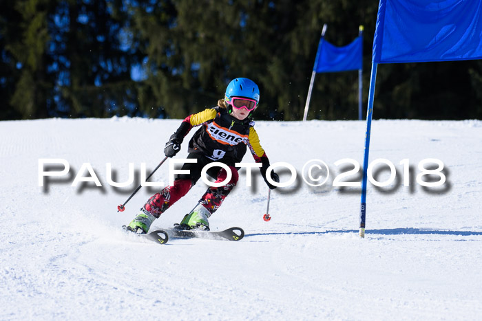 5. WF Ziener Cup + WFM, Steckenberg, 04.03.2018
