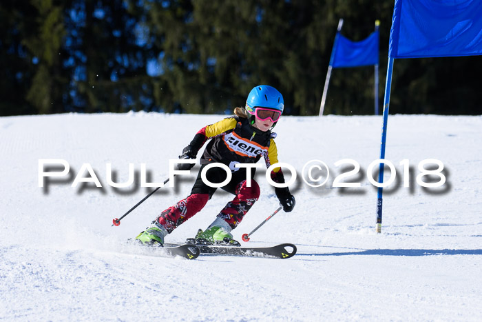 5. WF Ziener Cup + WFM, Steckenberg, 04.03.2018