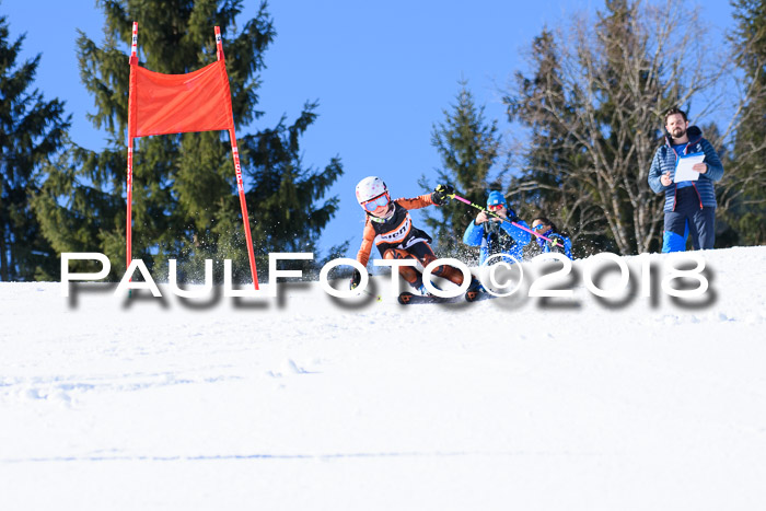 5. WF Ziener Cup + WFM, Steckenberg, 04.03.2018