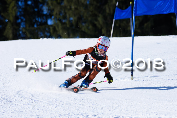 5. WF Ziener Cup + WFM, Steckenberg, 04.03.2018