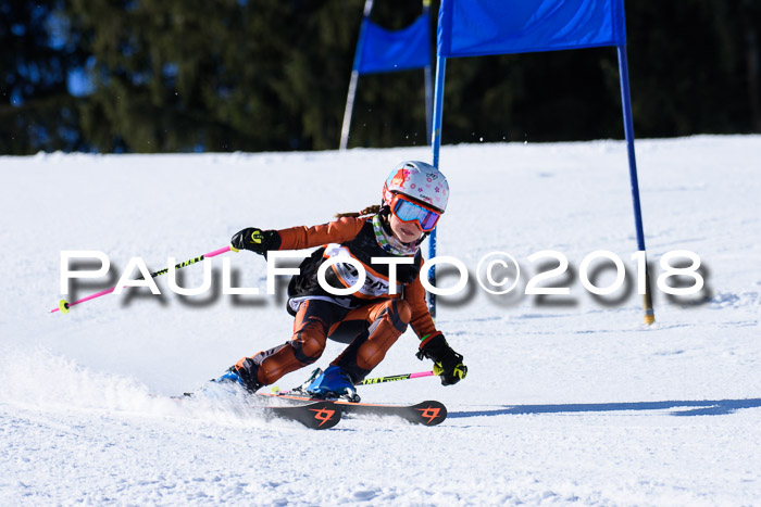 5. WF Ziener Cup + WFM, Steckenberg, 04.03.2018