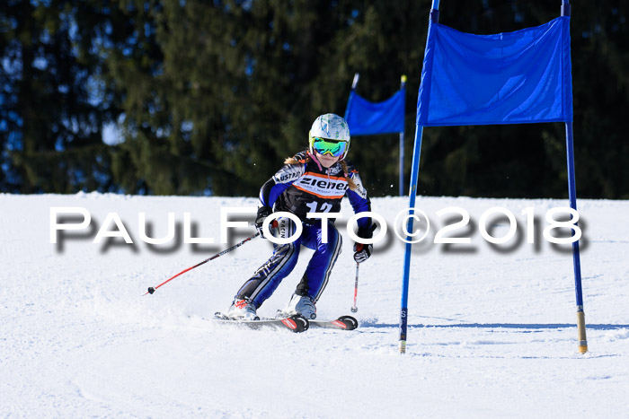 5. WF Ziener Cup + WFM, Steckenberg, 04.03.2018