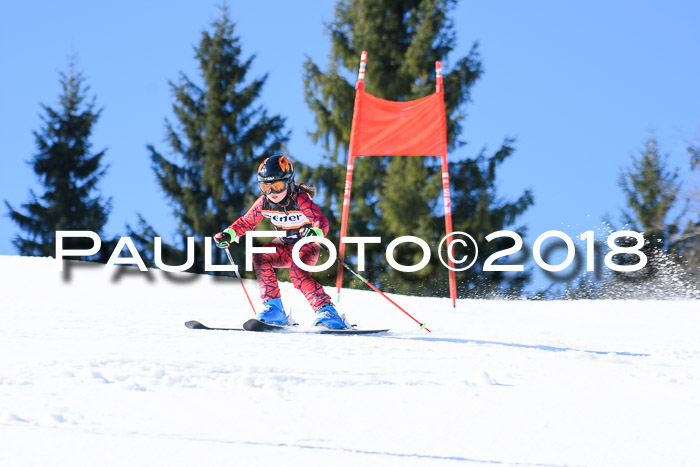 5. WF Ziener Cup + WFM, Steckenberg, 04.03.2018