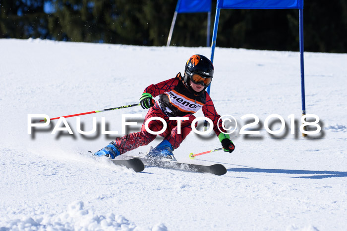 5. WF Ziener Cup + WFM, Steckenberg, 04.03.2018