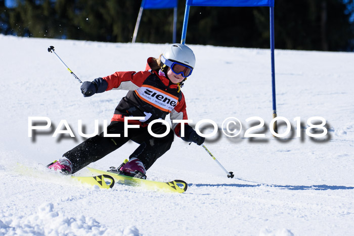 5. WF Ziener Cup + WFM, Steckenberg, 04.03.2018