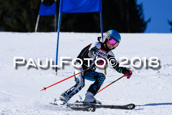 5. WF Ziener Cup + WFM, Steckenberg, 04.03.2018