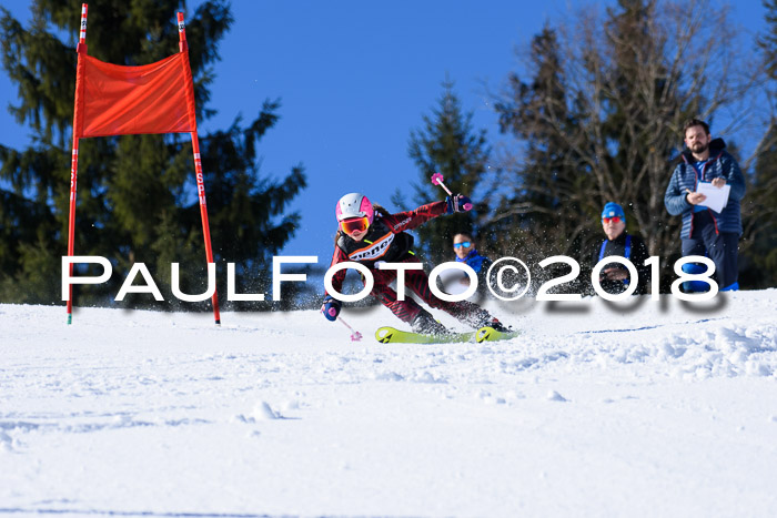 5. WF Ziener Cup + WFM, Steckenberg, 04.03.2018