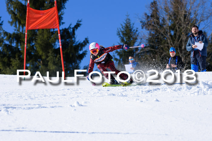 5. WF Ziener Cup + WFM, Steckenberg, 04.03.2018