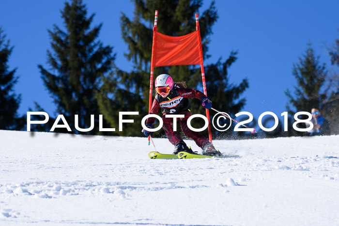 5. WF Ziener Cup + WFM, Steckenberg, 04.03.2018