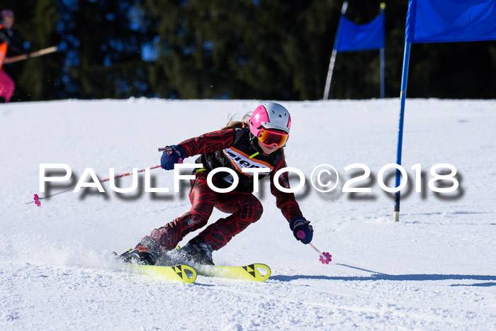 5. WF Ziener Cup + WFM, Steckenberg, 04.03.2018