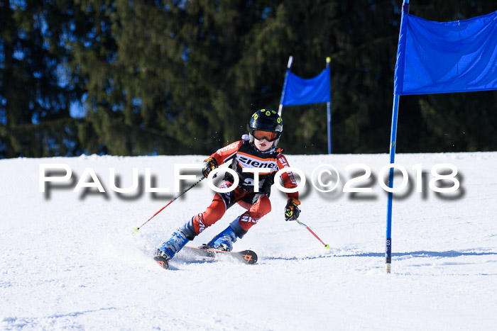 5. WF Ziener Cup + WFM, Steckenberg, 04.03.2018