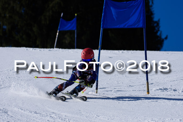 5. WF Ziener Cup + WFM, Steckenberg, 04.03.2018