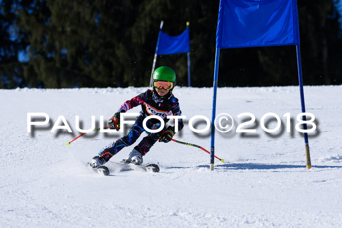 5. WF Ziener Cup + WFM, Steckenberg, 04.03.2018