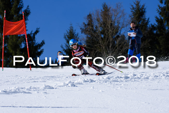 5. WF Ziener Cup + WFM, Steckenberg, 04.03.2018