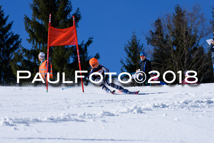 5. WF Ziener Cup + WFM, Steckenberg, 04.03.2018