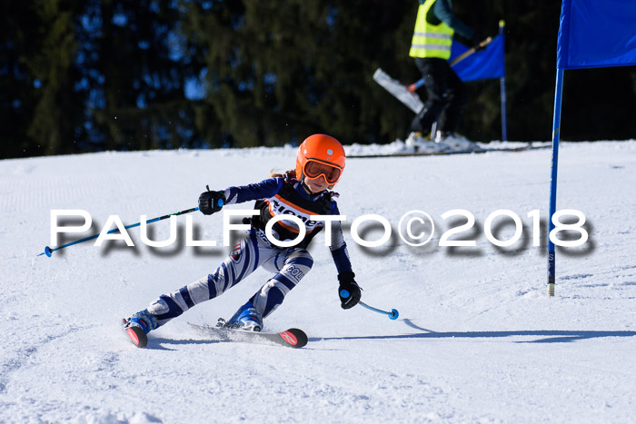 5. WF Ziener Cup + WFM, Steckenberg, 04.03.2018