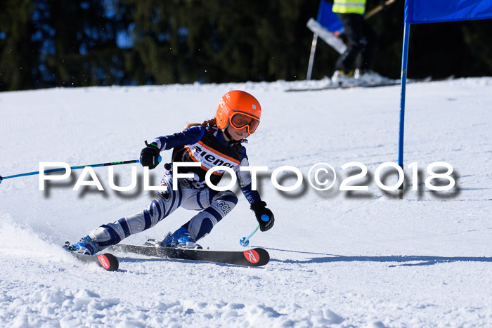 5. WF Ziener Cup + WFM, Steckenberg, 04.03.2018