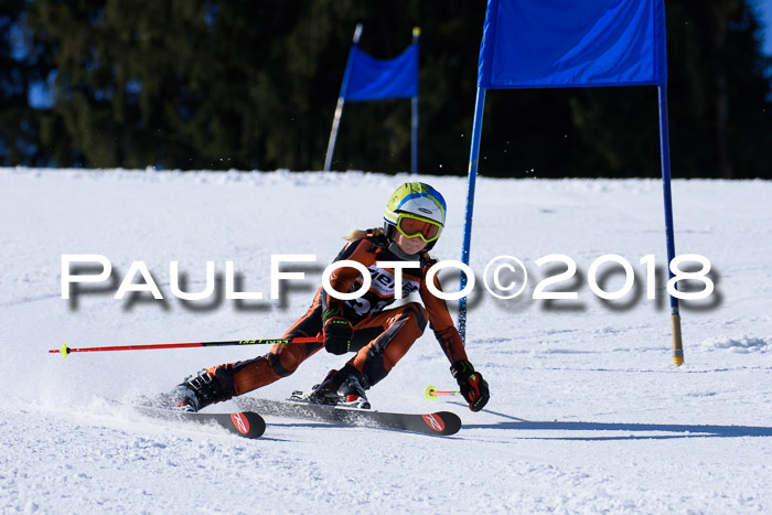 5. WF Ziener Cup + WFM, Steckenberg, 04.03.2018