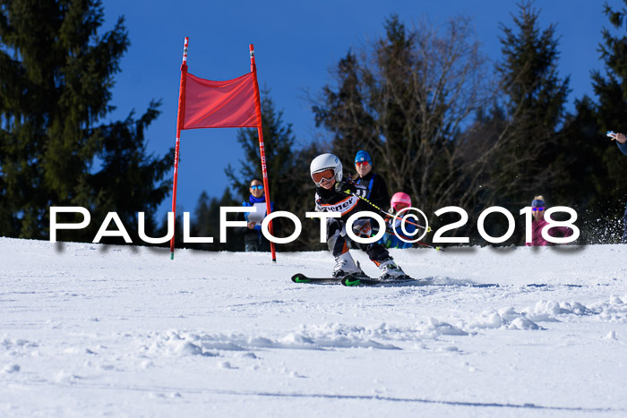 5. WF Ziener Cup + WFM, Steckenberg, 04.03.2018