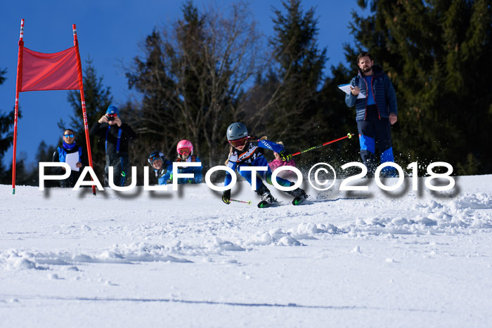 5. WF Ziener Cup + WFM, Steckenberg, 04.03.2018