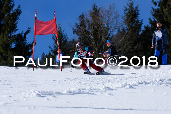 5. WF Ziener Cup + WFM, Steckenberg, 04.03.2018