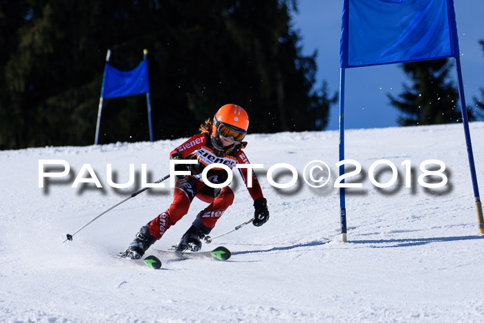 5. WF Ziener Cup + WFM, Steckenberg, 04.03.2018