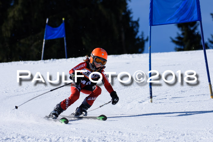 5. WF Ziener Cup + WFM, Steckenberg, 04.03.2018