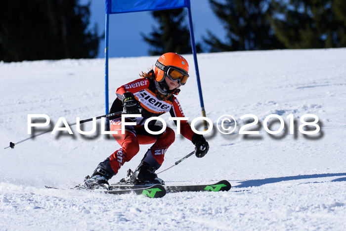 5. WF Ziener Cup + WFM, Steckenberg, 04.03.2018