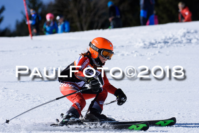 5. WF Ziener Cup + WFM, Steckenberg, 04.03.2018