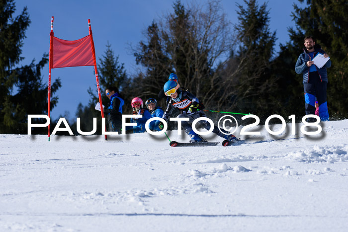 5. WF Ziener Cup + WFM, Steckenberg, 04.03.2018