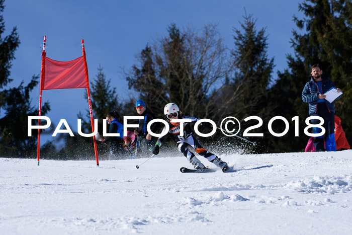 5. WF Ziener Cup + WFM, Steckenberg, 04.03.2018