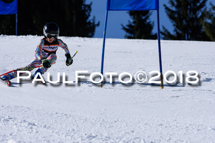 5. WF Ziener Cup + WFM, Steckenberg, 04.03.2018