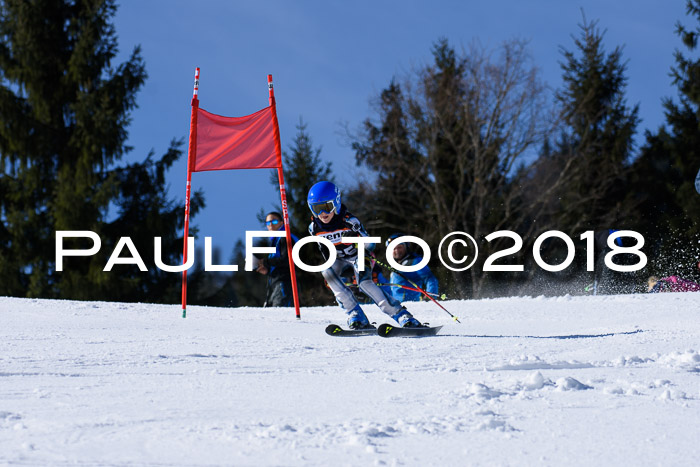 5. WF Ziener Cup + WFM, Steckenberg, 04.03.2018