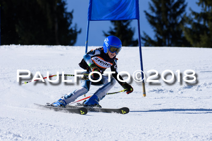5. WF Ziener Cup + WFM, Steckenberg, 04.03.2018