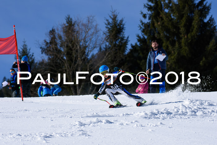 5. WF Ziener Cup + WFM, Steckenberg, 04.03.2018