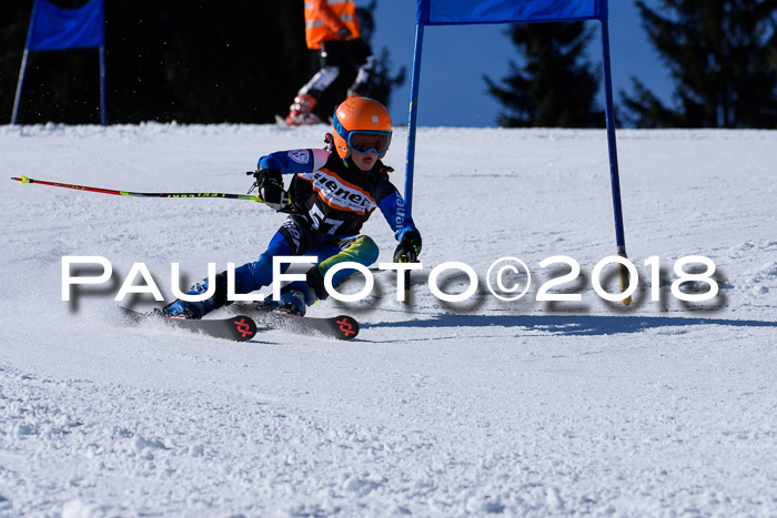 5. WF Ziener Cup + WFM, Steckenberg, 04.03.2018