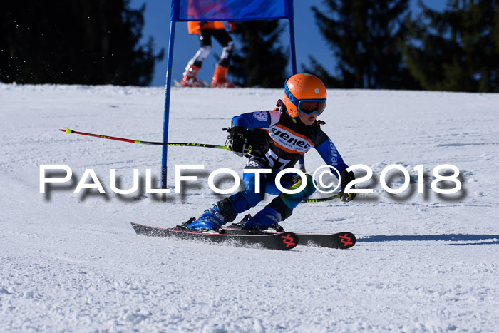 5. WF Ziener Cup + WFM, Steckenberg, 04.03.2018