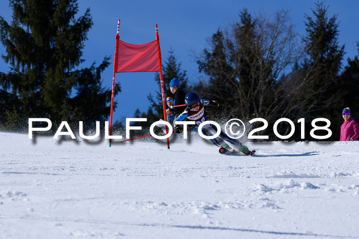 5. WF Ziener Cup + WFM, Steckenberg, 04.03.2018