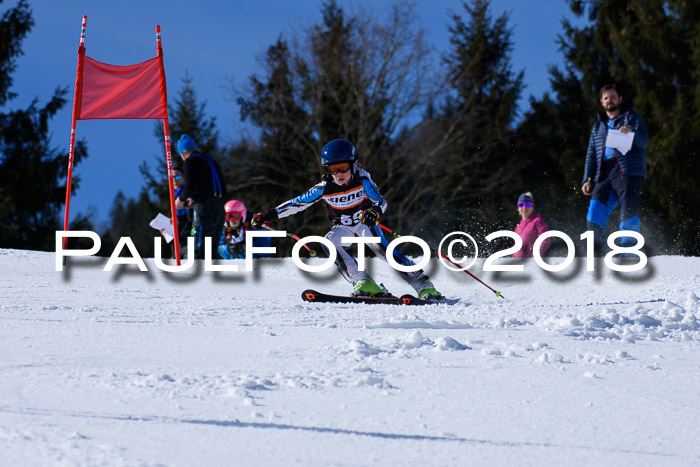 5. WF Ziener Cup + WFM, Steckenberg, 04.03.2018