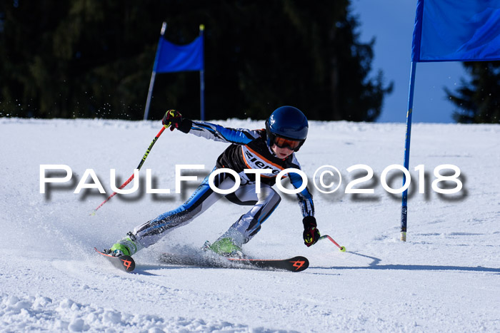 5. WF Ziener Cup + WFM, Steckenberg, 04.03.2018