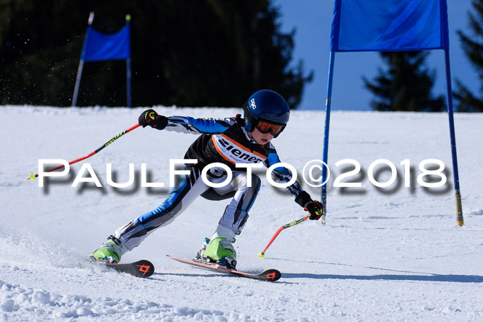 5. WF Ziener Cup + WFM, Steckenberg, 04.03.2018