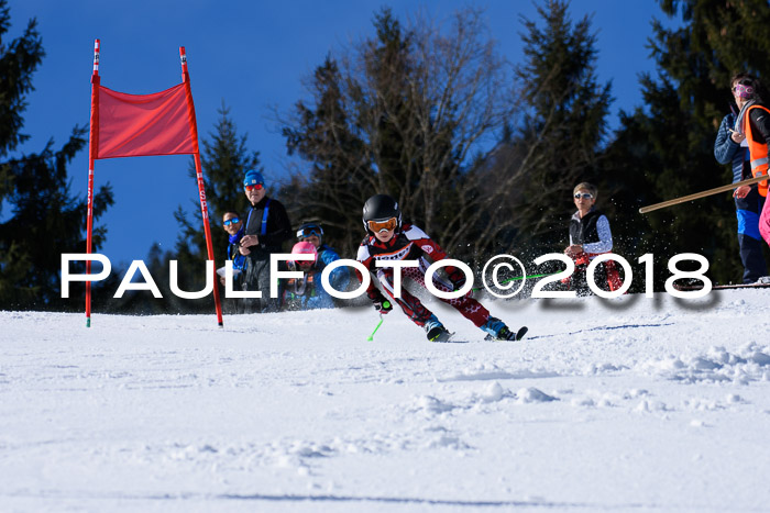 5. WF Ziener Cup + WFM, Steckenberg, 04.03.2018
