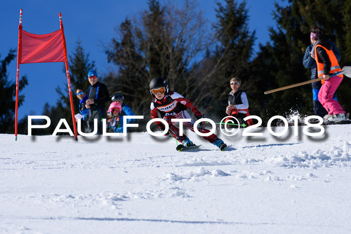 5. WF Ziener Cup + WFM, Steckenberg, 04.03.2018