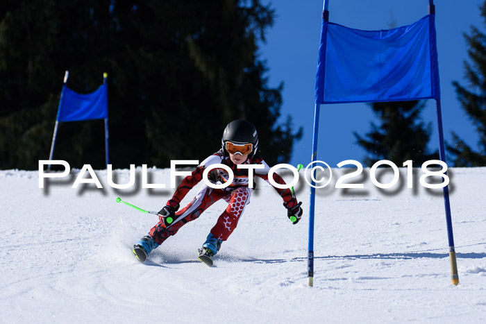 5. WF Ziener Cup + WFM, Steckenberg, 04.03.2018
