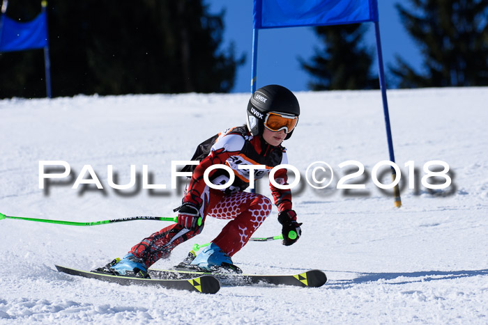 5. WF Ziener Cup + WFM, Steckenberg, 04.03.2018
