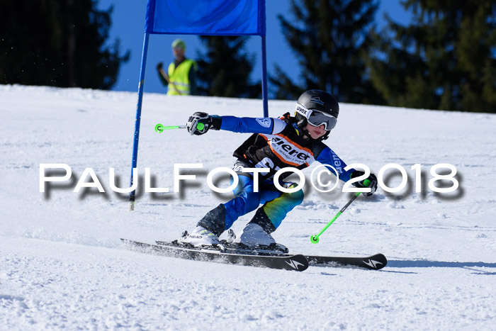 5. WF Ziener Cup + WFM, Steckenberg, 04.03.2018